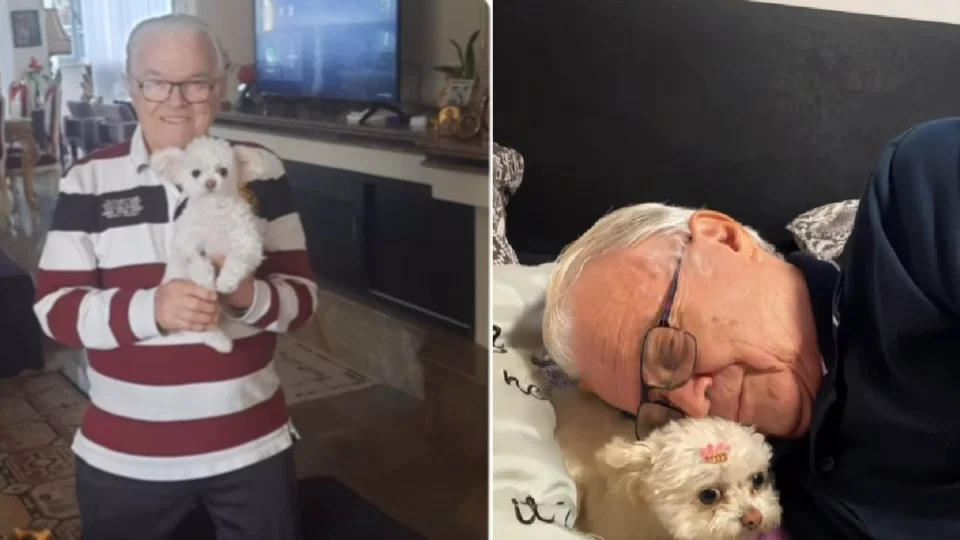 Cadela e avô encantam internet com amizade cheia de carinho: “Neta favorita”