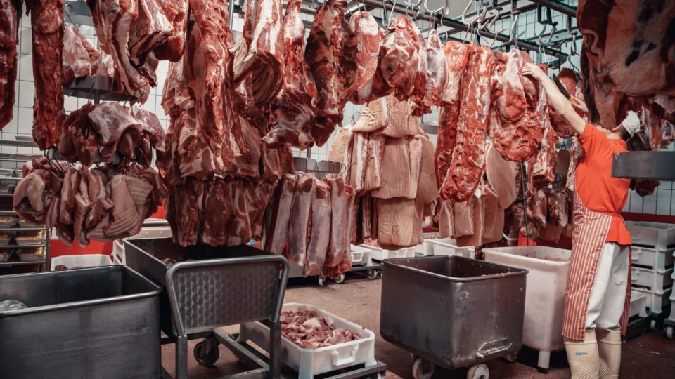 Exportações do Acre ultrapassam R$ 1,8 bilhão em seis anos