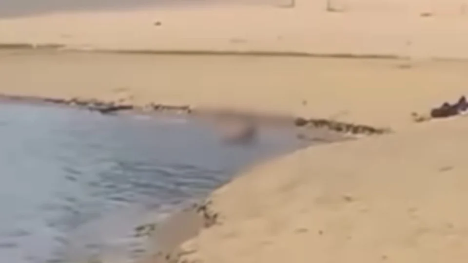 Casal é pego no flagra em ato íntimo na Praia da Ponta Negra, em Manaus