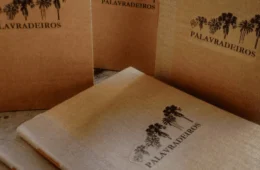 Mostra ‘Nós’ – Edição 2024 reúne cinema, literatura e artes integradas em Roraima