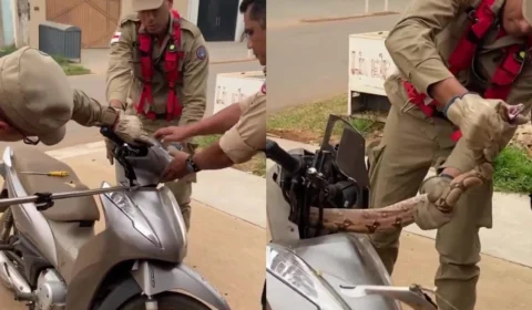 Mulher encontra jiboia dentro de moto em Manaus; veja vídeo