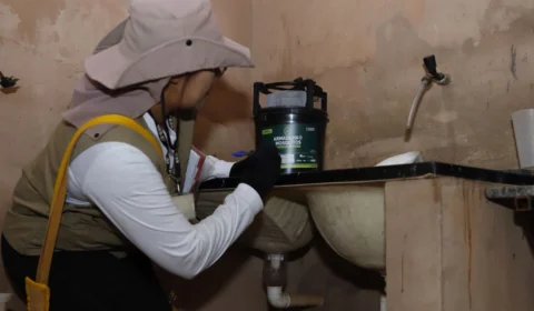 DF intensifica combate à dengue com novas armadilhas