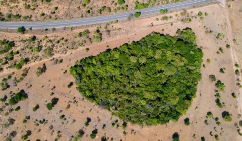 Segurança ambiental: SSP-TO recebe Companhia de Operações Ambientais