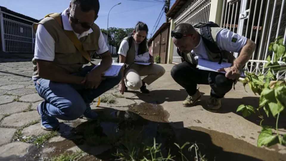 Dia D contra a dengue: ações acontecem em todo o país