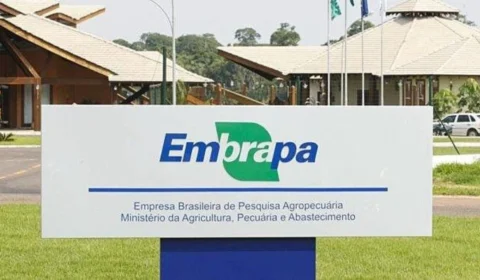 Edital aberto: concurso da Embrapa oferece 1.027 vagas