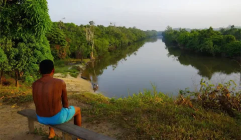 Terras indígenas da Amazônia influenciam chuvas que abastecem 80% da agropecuária do país