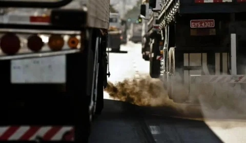 Brasil regulamenta mercado de carbono