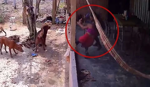 Ex-marido tenta matar mulher a facadas na frente dos filhos em PF, no Amazonas; veja vídeo