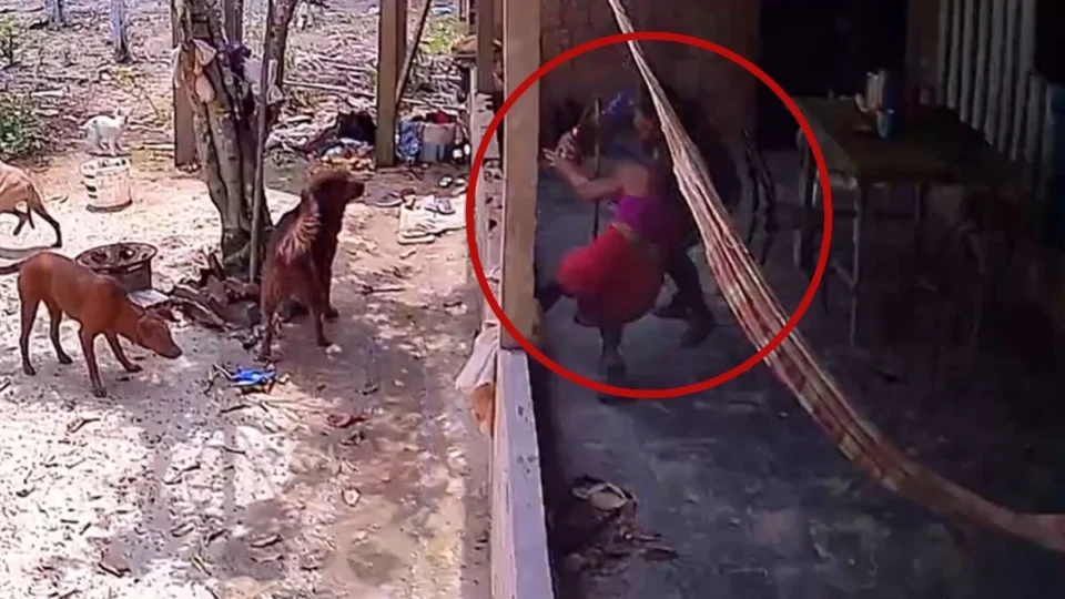 Ex-marido tenta matar mulher a facadas na frente dos filhos em PF, no Amazonas; veja vídeo