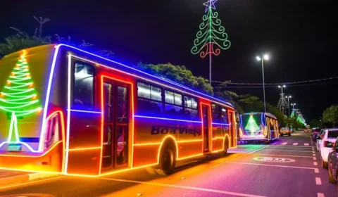 Passeios do Expresso Natalino começam nesta terça-feira (3) em Boa Vista; veja como participar
