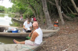 Pesquisadores do Reino Unido estudam sobre plantas no Amazonas