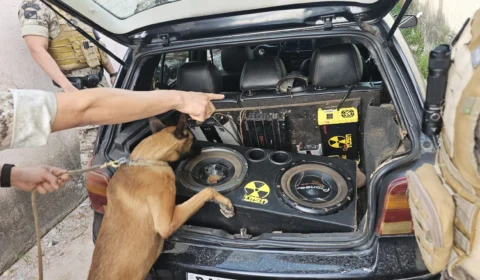 Polícia apreende drogas e dinheiro em ação de combate ao tráfico em Arraias