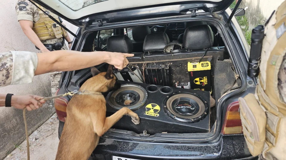 Polícia apreende drogas e dinheiro em ação de combate ao tráfico em Arraias