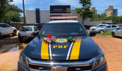 PRF faz apreensão de drogas na BR-010 em Palmas