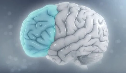 Você consegue resolver essas 3 perguntas? Teste de raciocínio lógico desafia internautas