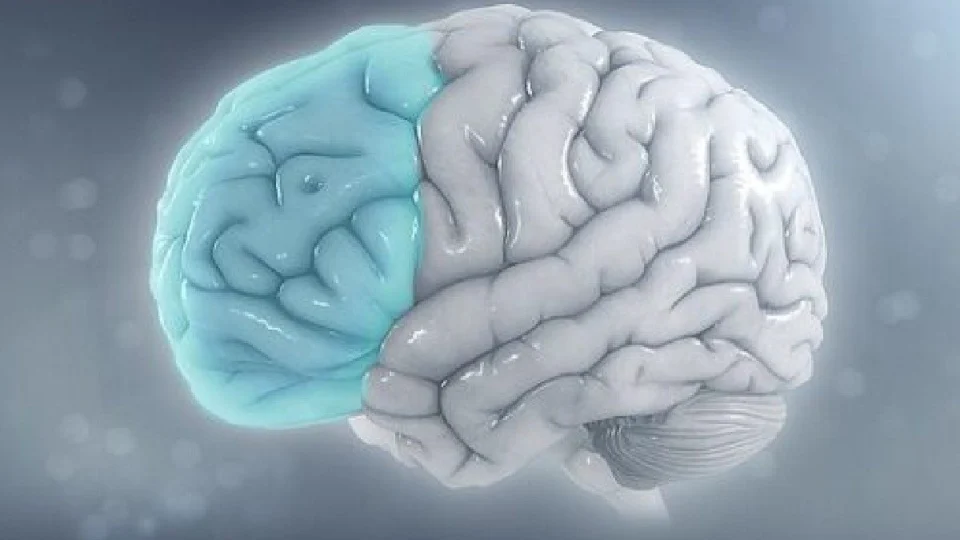 Você consegue resolver essas 3 perguntas? Teste de raciocínio lógico desafia internautas