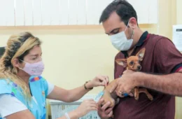 Campanha de vacinação antirrábica é prorrogada em Manaus