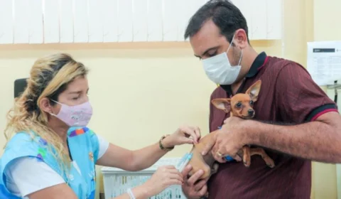 Campanha de vacinação antirrábica é prorrogada em Manaus