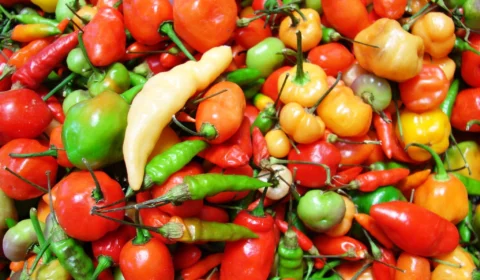 Dia da Comida Apimentada (16/01): veja origem e receitas para fazer neste dia