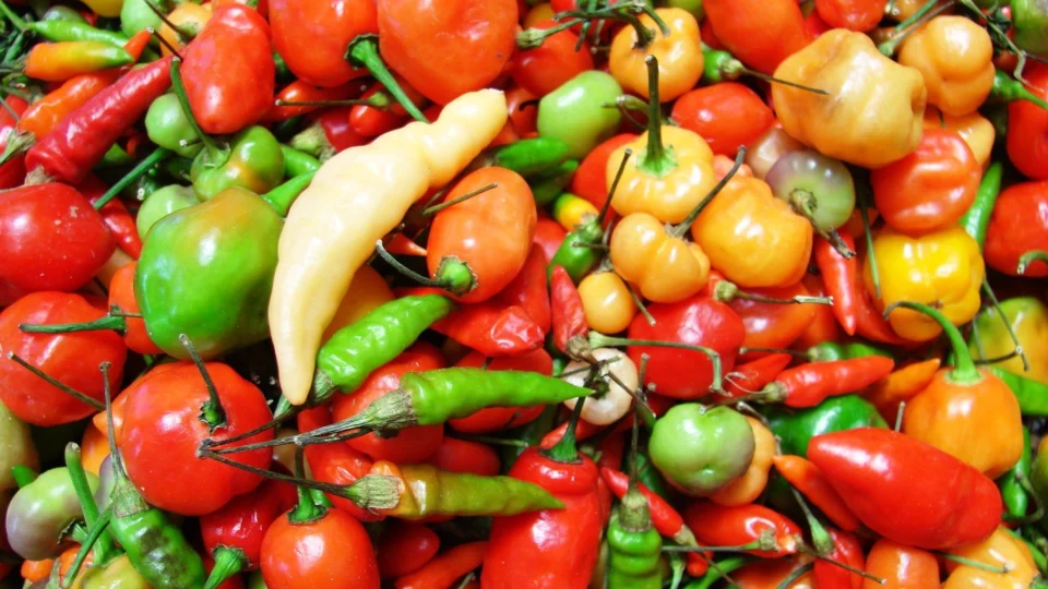 Dia da Comida Apimentada (16/01): veja origem e receitas para fazer neste dia