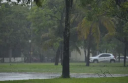 Saiba os principais cuidados para o período de chuvas em Palmas