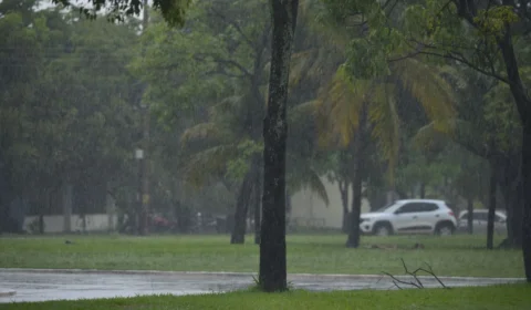 Saiba os principais cuidados para o período de chuvas em Palmas