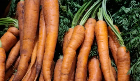 Inflação sem controle? Preço da cenoura dispara em Rio Branco e tendência é de alta para 2025