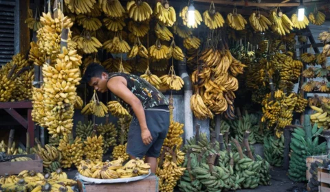 Banana de luxo? Alta no preço da fruta preocupa consumidores em Rio Branco (AC); confira