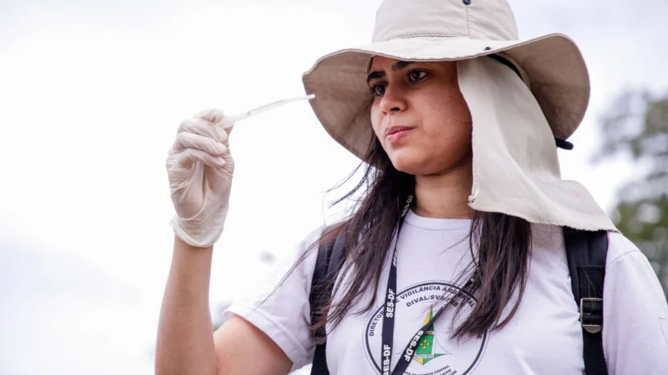 Dengue: DF registra redução de 95,4% nos casos em 2025