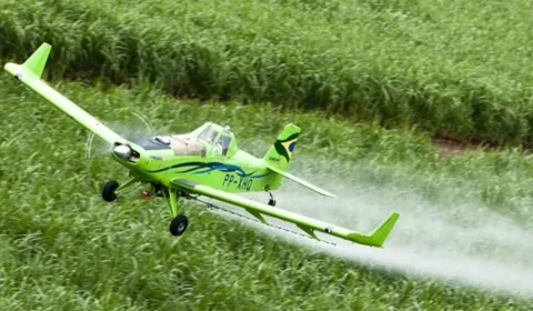 Governo Lula bate recorde em liberação de agrotóxicos em 2024; veja dados dos últimos 20 anos