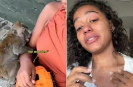 VÍDEO: Influenciadora entra em desespero ao sofrer alergia severa após mordida de macaco na Tailândia