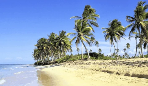 Dia do Ceará (17/01): veja frases para enviar neste dia especial