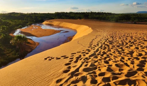 Vale a pena visitar o Jalapão em janeiro? Saiba o que esperar