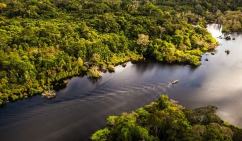 Ibama pode autorizar exploração de petróleo na Foz do Amazonas em 2025, apesar de alertas ambientais