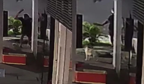 Homem agride cadela recém-parida com pauladas em Manaus; veja vídeo