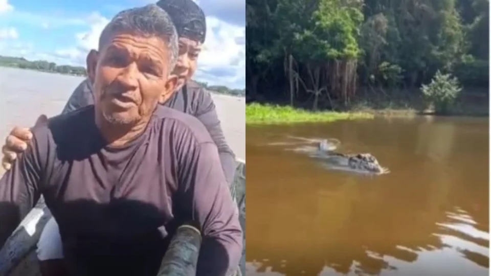 Homem é atacado por jacaré enquanto pescava em distrito de Porto Velho; veja vídeo