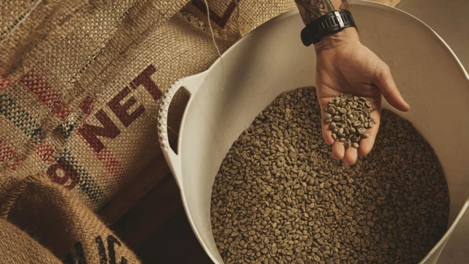 Preço do café deve aumentar nos próximos meses, alertam especialistas