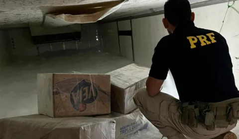PRF apreende drogas escondidas em caminhão de peixes em Ji-Paraná, RO