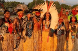 Aldeia no Acre inova com ‘farmácias vivas’ baseadas em plantas medicinais amazônicas