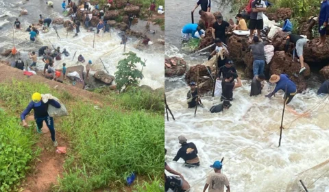 Dupla é presa por pesca excessiva de Jaraqui em Manacapuru, no interior do Amazonas