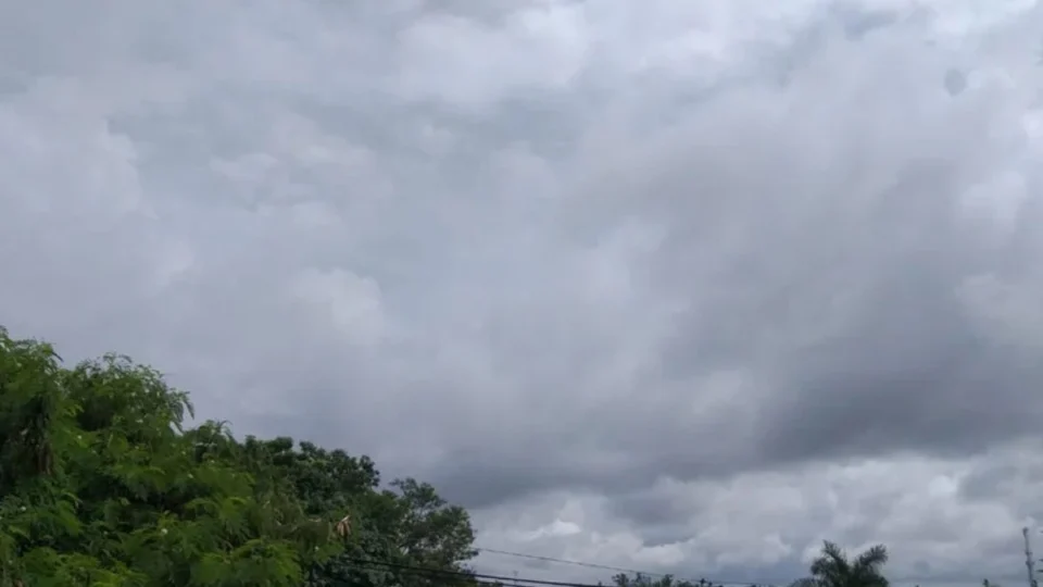 Previsão do tempo em Manaus hoje (19/1): veja como fica o clima