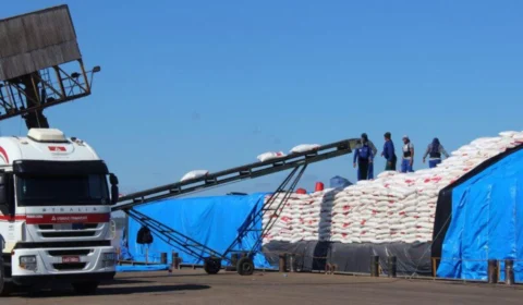 Rondônia alcança recorde como segundo maior exportador do Norte