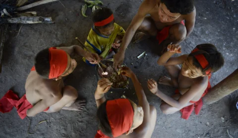 Fiocruz e MDHC abrem vagas para atuação com povos Yanomami e Ye’kwana; como participar