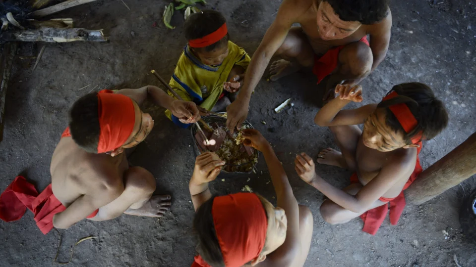 Fiocruz e MDHC abrem vagas para atuação com povos Yanomami e Ye’kwana; como participar
