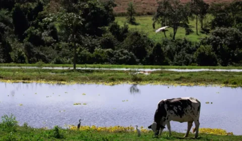 Acre reduz e isenta ICMS para agricultura; confira as mudanças no setor
