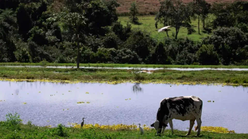 Acre reduz e isenta ICMS para agricultura; confira as mudanças no setor