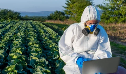 Quatro cidades são responsáveis por cerca de 57% do uso de agrotóxicos no Acre em 2024