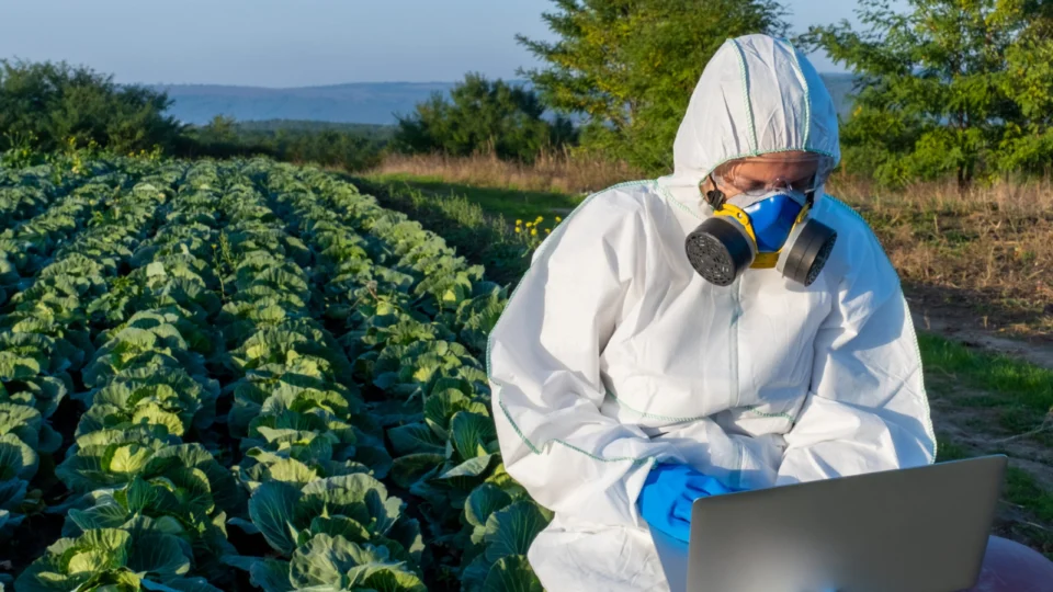 Quatro cidades são responsáveis por cerca de 57% do uso de agrotóxicos no Acre em 2024