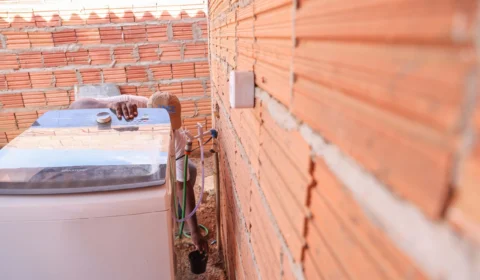 Semus instala ciclo de armadilhas para Aedes aegypti em Palmas