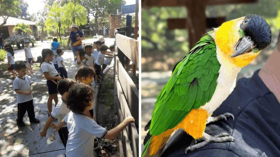 Bosque dos Papagaios: Boa Vista oferece um passeio gratuito para quem quer respirar ar puro